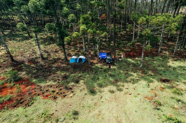 Comment utiliser les miles aériens pour économiser sur vos billets d'avion